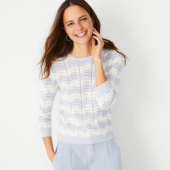 Ann Taylor Sweaters - Ann Taylor Winter White Chevron Pointelle Sweater